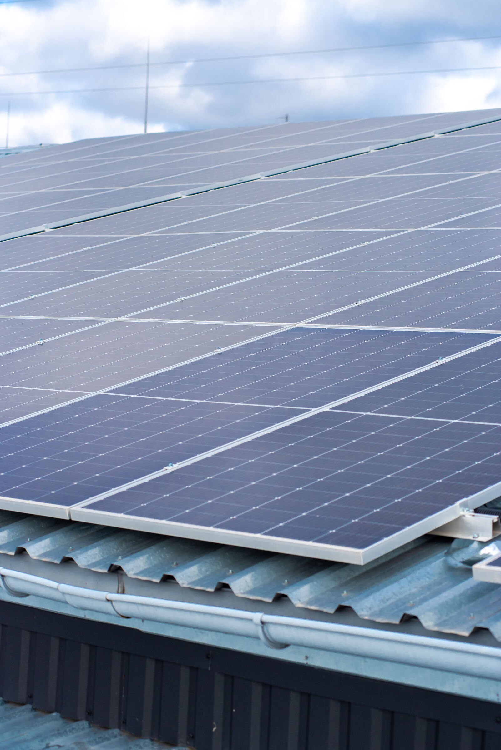 Paneles Solares